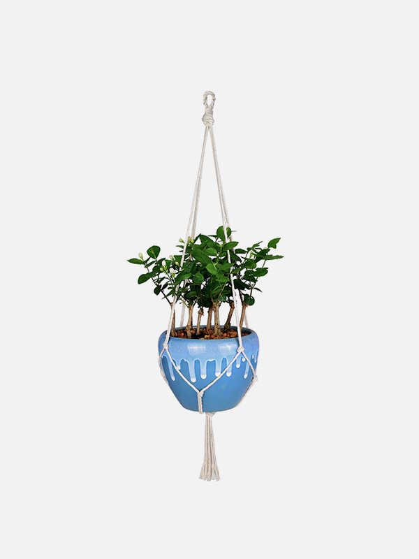 Product dummy title